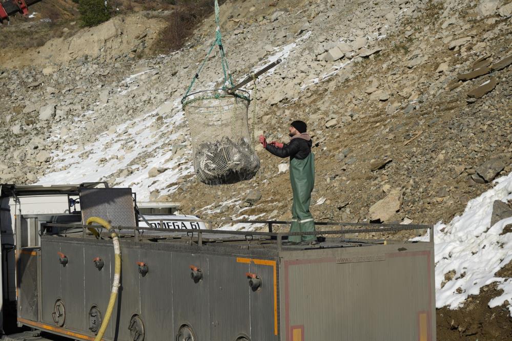 G Ü M Ü Ş H A N E2