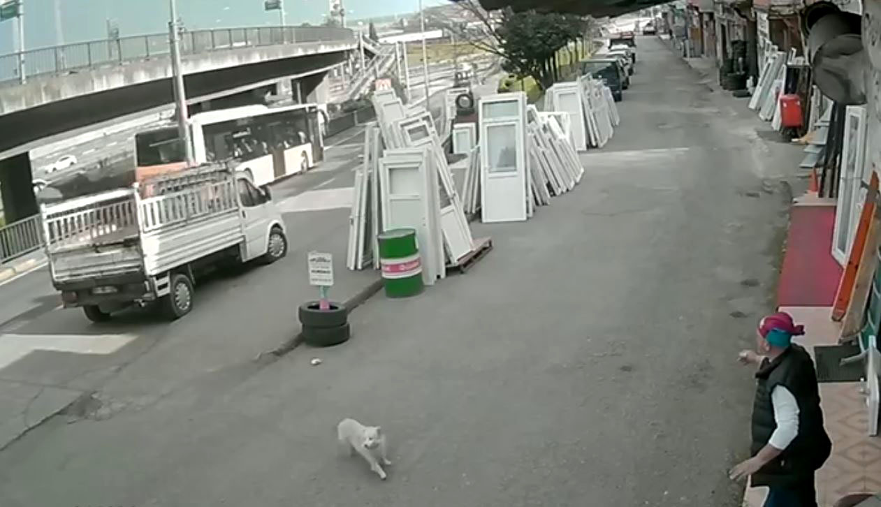 K O P E K T E N K A C A R K E N O T O B U S U N C A R P T I G I U N I V 1176572 349495