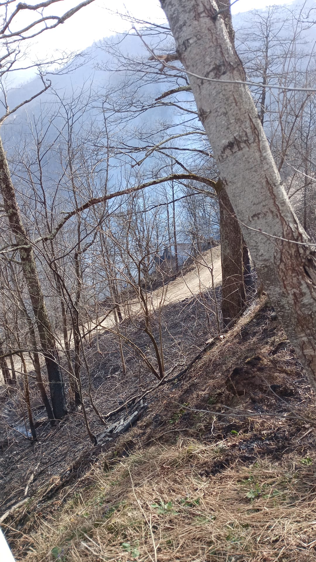 Whatsapp Image 2026 02 18 At 14.50.15 (1)