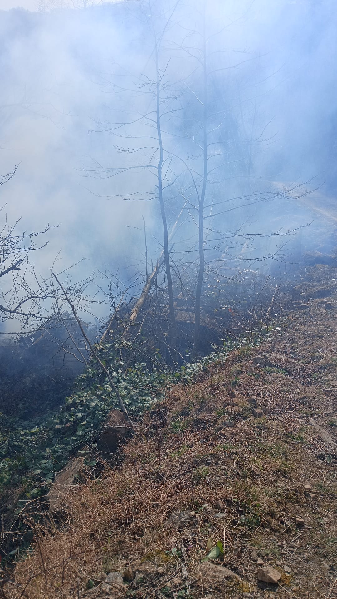 Whatsapp Image 2026 02 18 At 14.50.15