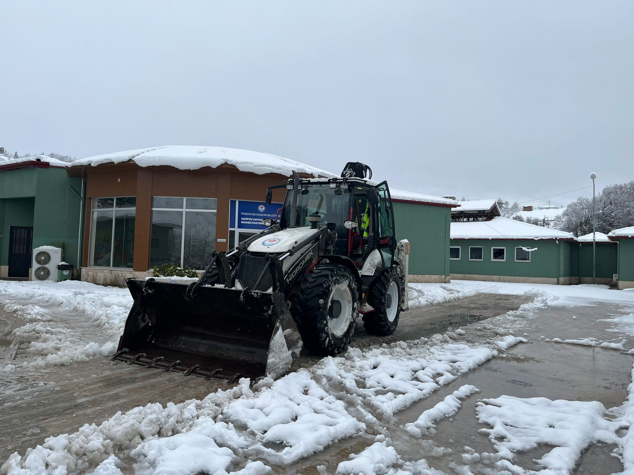 Whatsapp Image 2026 02 27 At 10.34.59 (1)