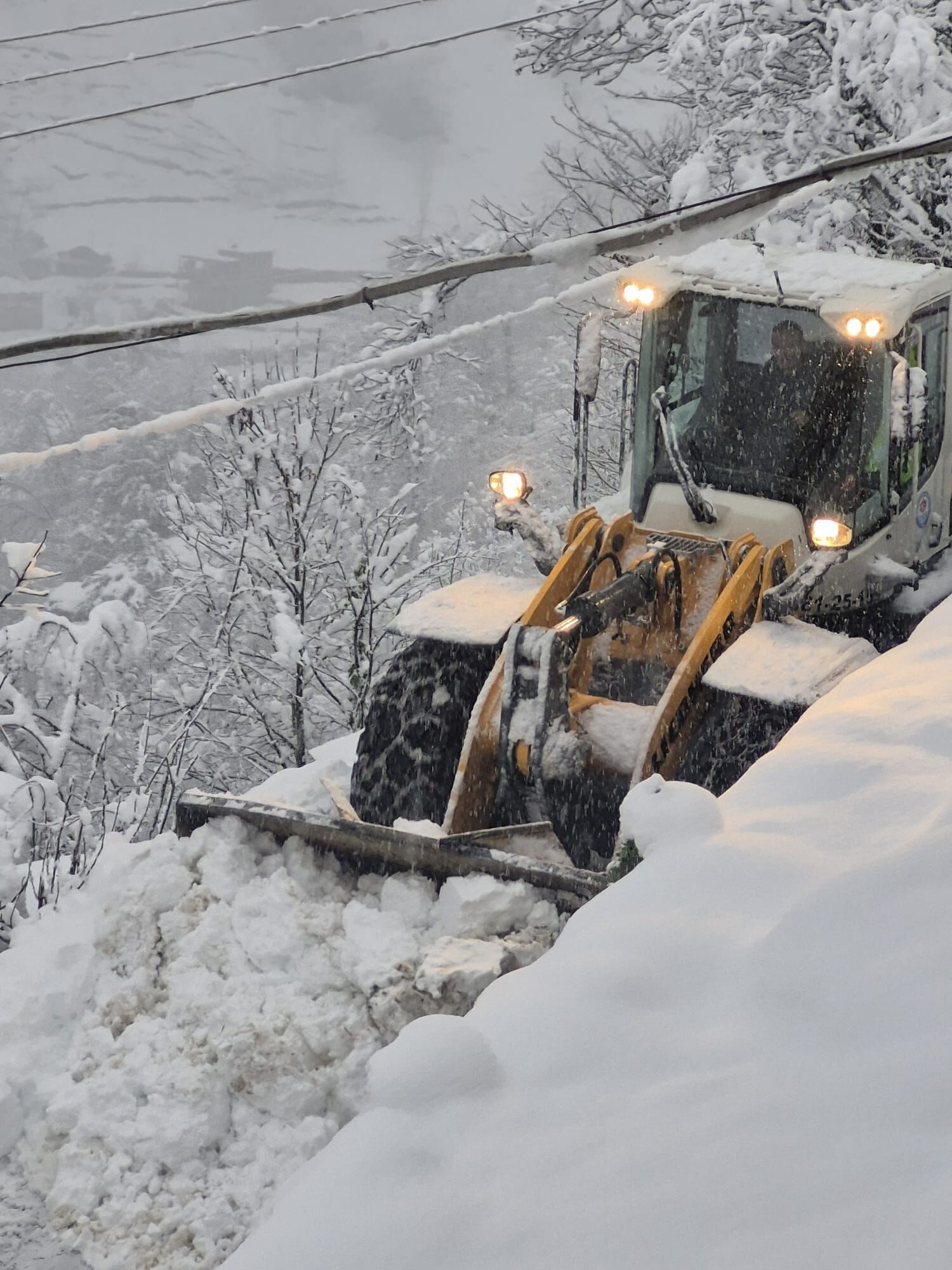 Whatsapp Image 2026 02 27 At 10.34.59