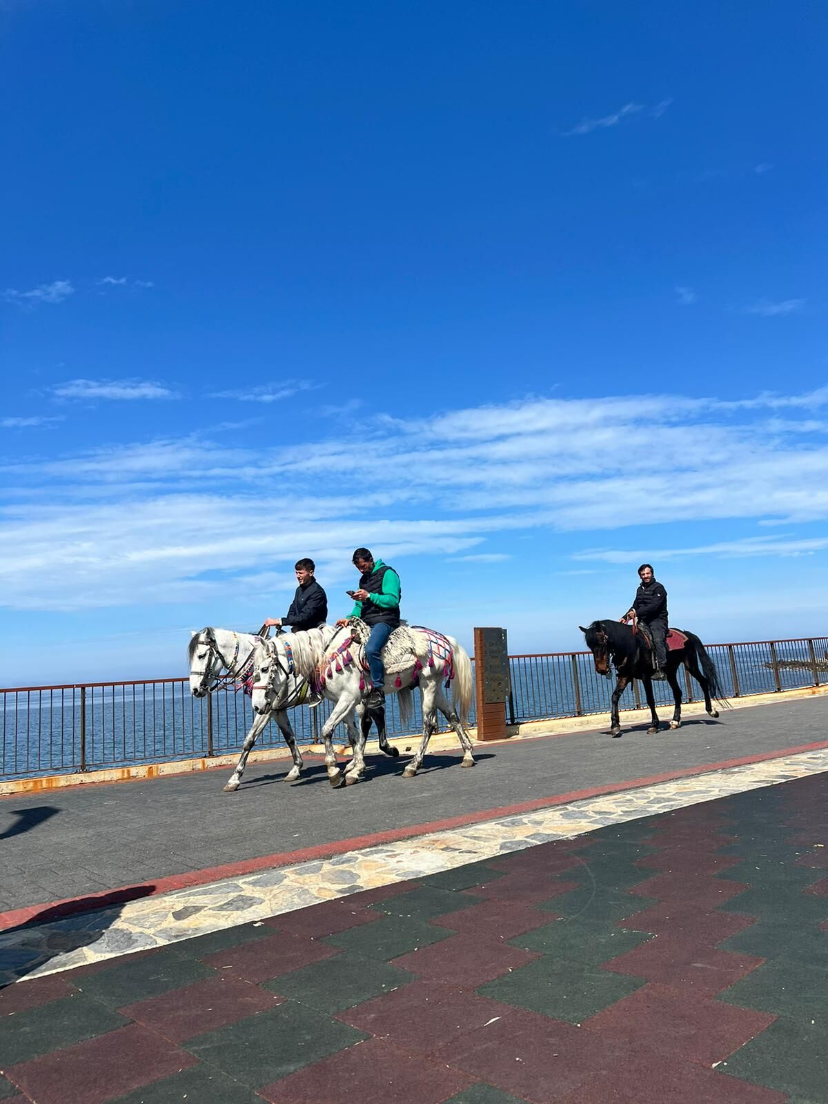 48Cb5701 74B4 4568 A679 4Baba03A7305