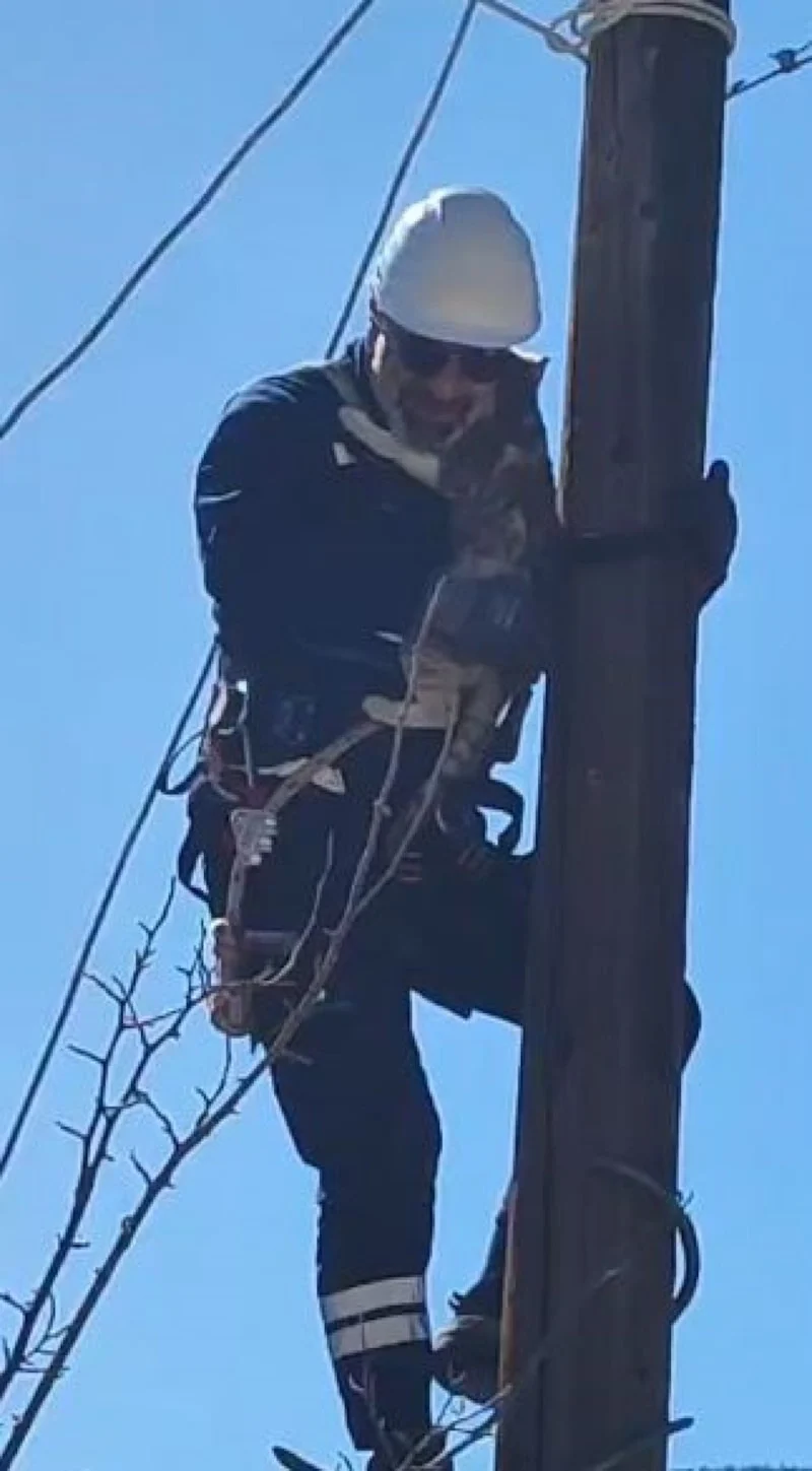 69B26C37537Cb752 W1200Xh2173