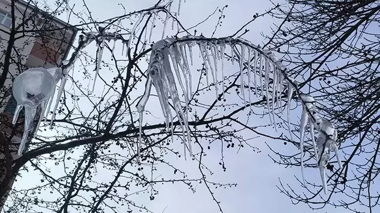 69B50Dd08C3F68B010B68B87-1