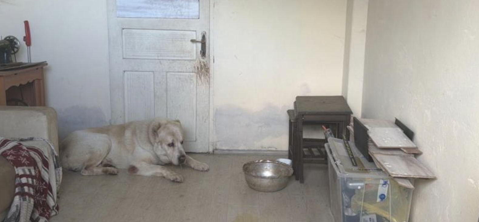 Ekran Resmi 2026 03 09 11.20.32