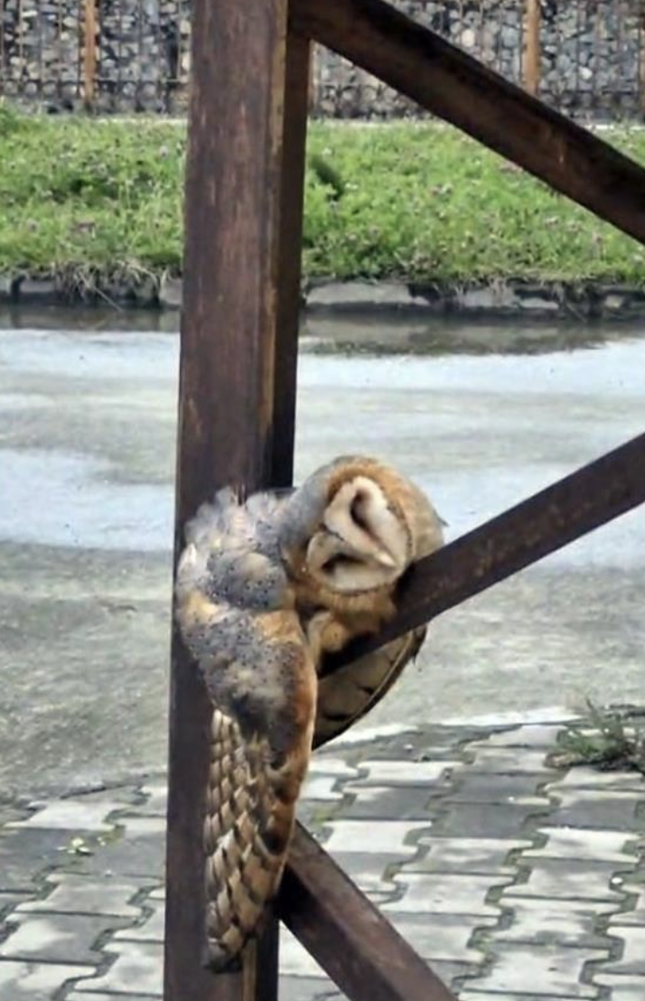 Ekran Resmi 2026 03 17 11.18.04