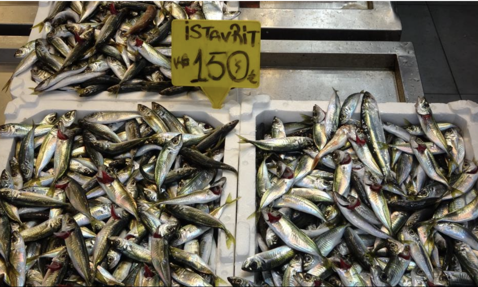 Ekran Resmi 2026 03 18 13.02.28