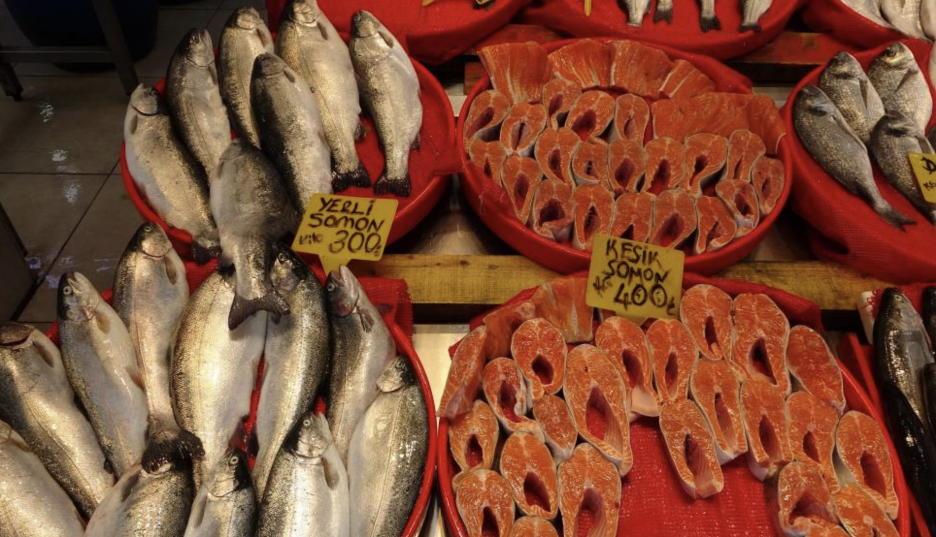 Ekran Resmi 2026 03 18 13.02.32