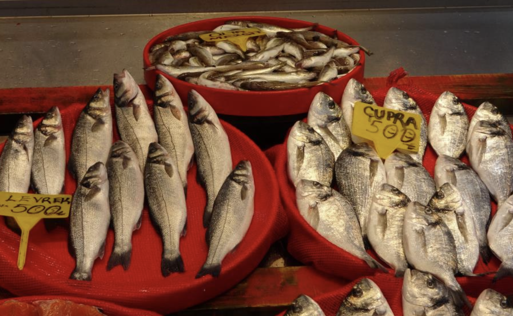 Ekran Resmi 2026 03 18 13.02.35