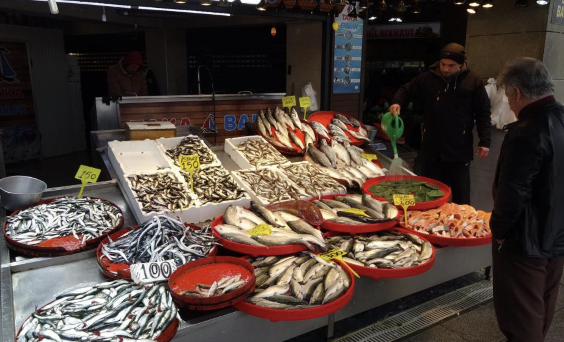 Ekran Resmi 2026 03 18 13.02.38