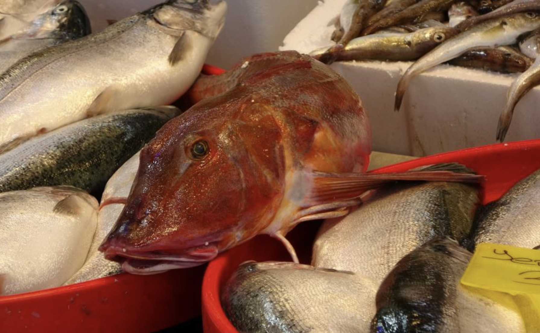 Ekran Resmi 2026 03 18 13.02.49