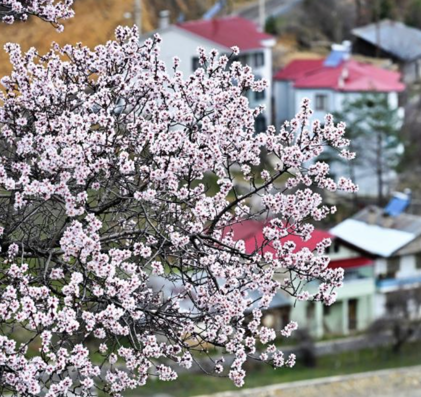 Ekran Resmi 2026 03 23 09.05.18