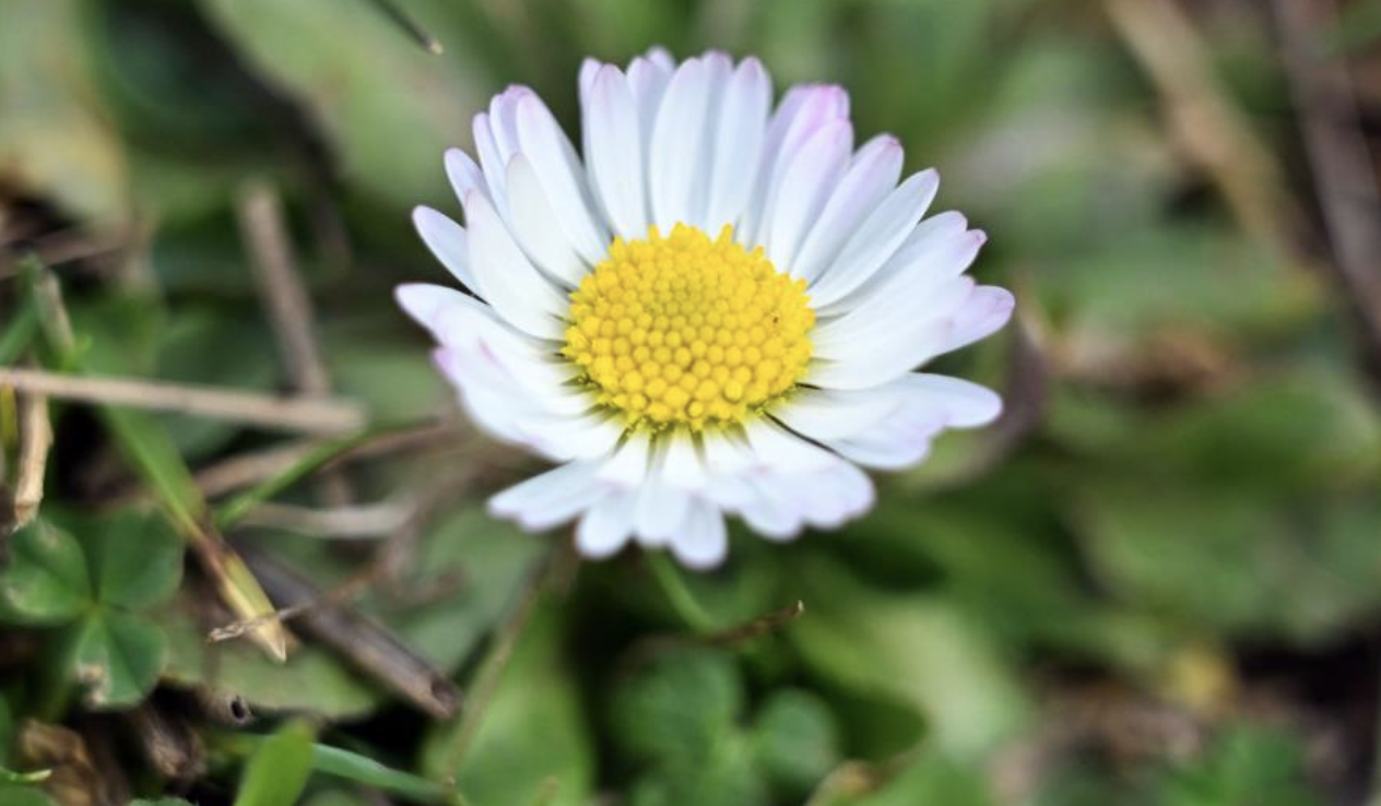 Ekran Resmi 2026 03 23 09.05.23