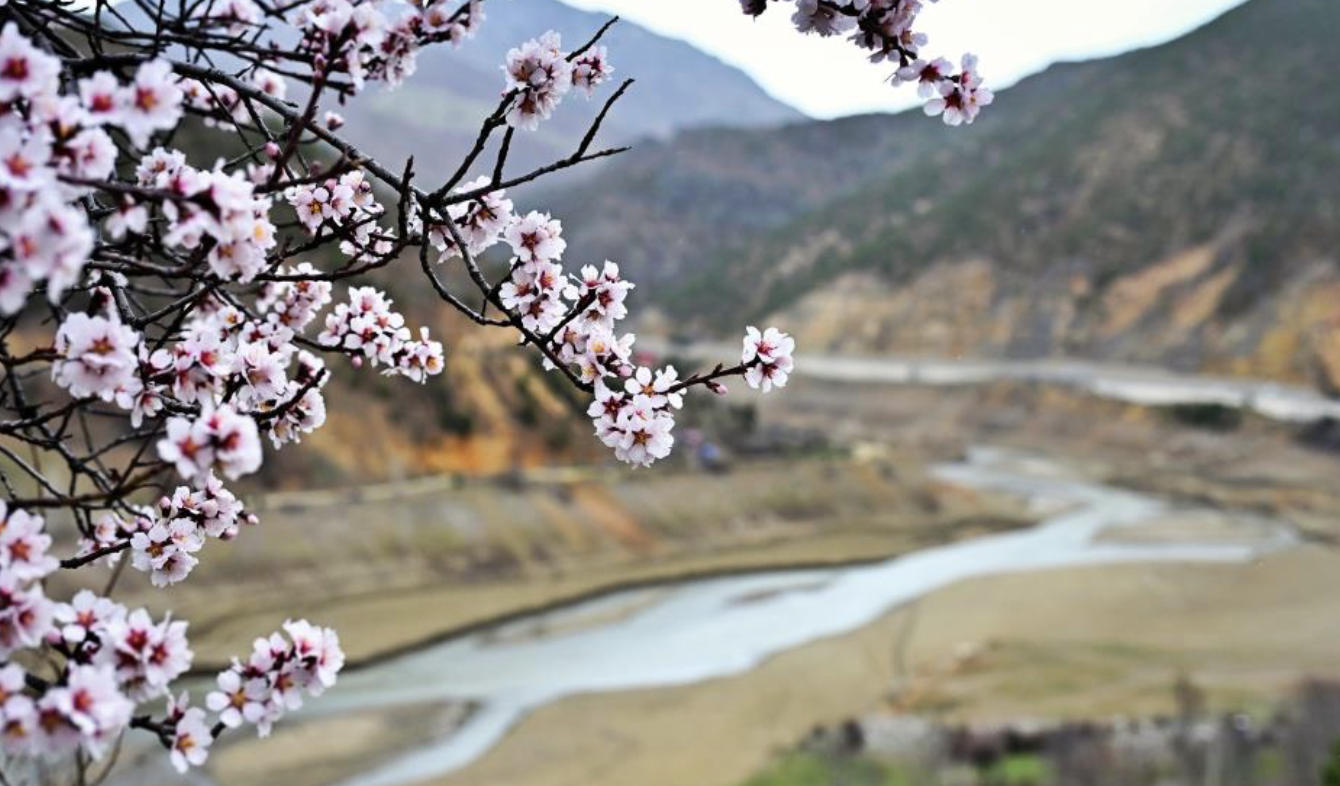 Ekran Resmi 2026 03 23 09.05.28