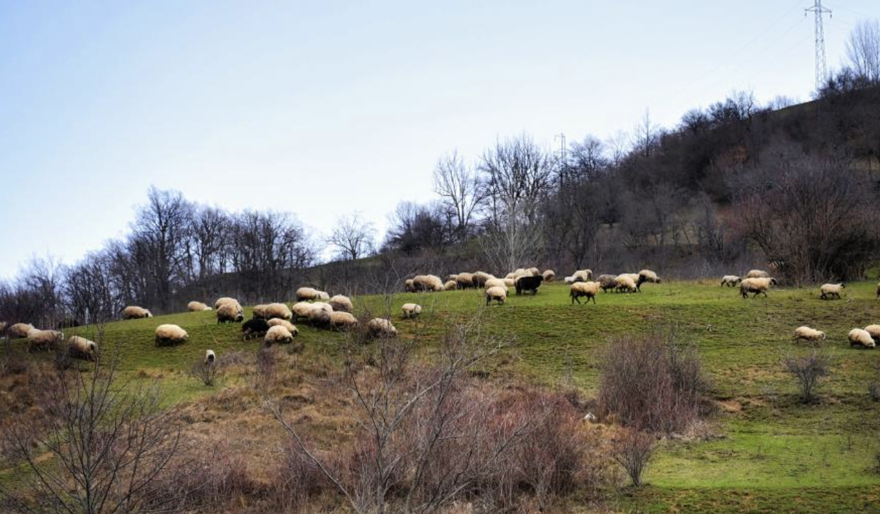 Ekran Resmi 2026 03 23 09.05.43