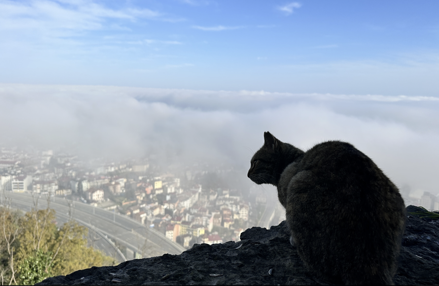 Ekran Resmi 2026 03 29 10.48.38