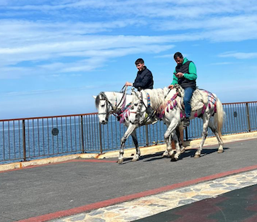 Ekran Resmi 2026 03 29 14.30.26