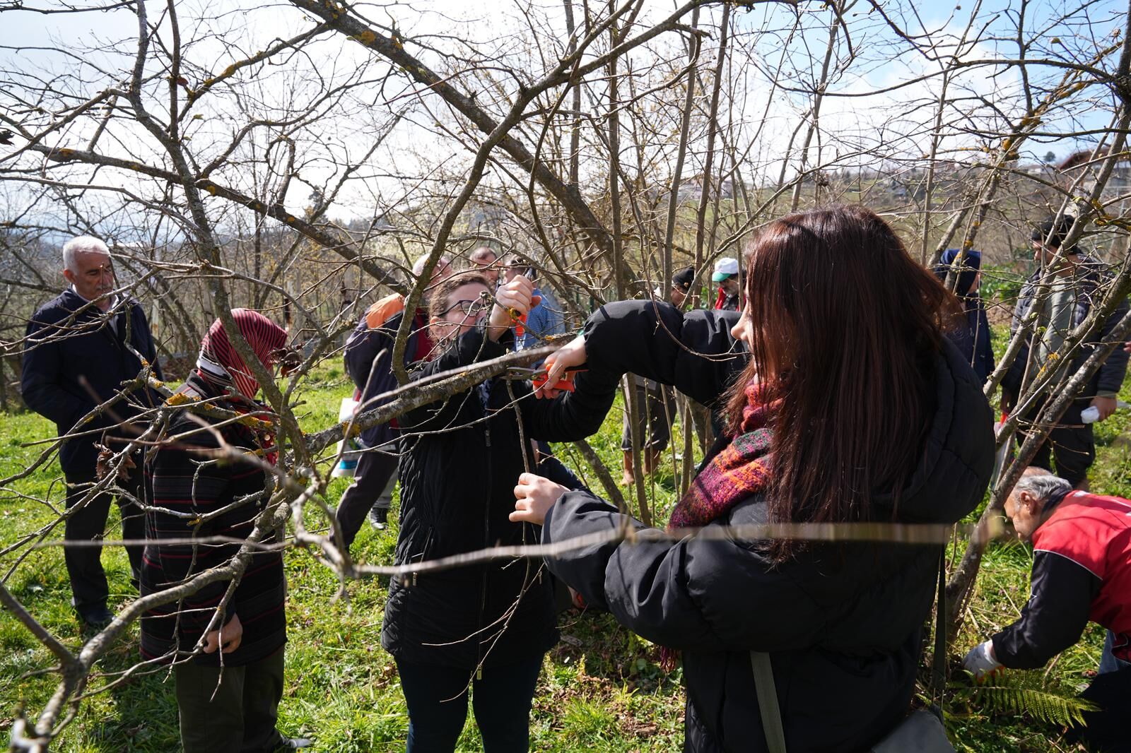 Whatsapp Image 2026 03 12 At 11.24.56