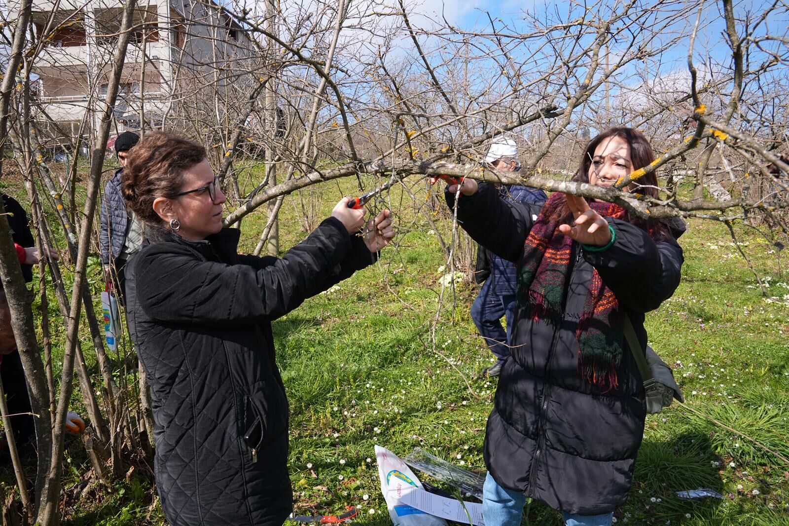 Whatsapp Image 2026 03 12 At 11.24.57