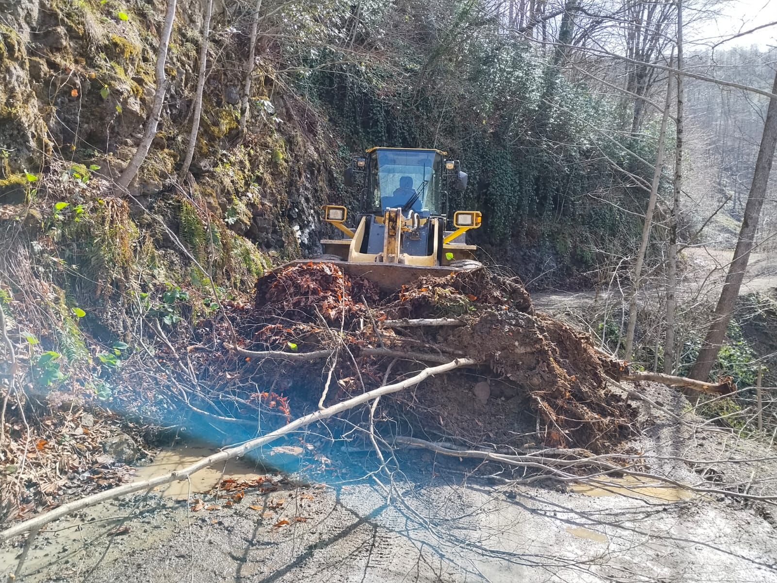 Whatsapp Image 2026 03 25 At 13.31.12 (1)