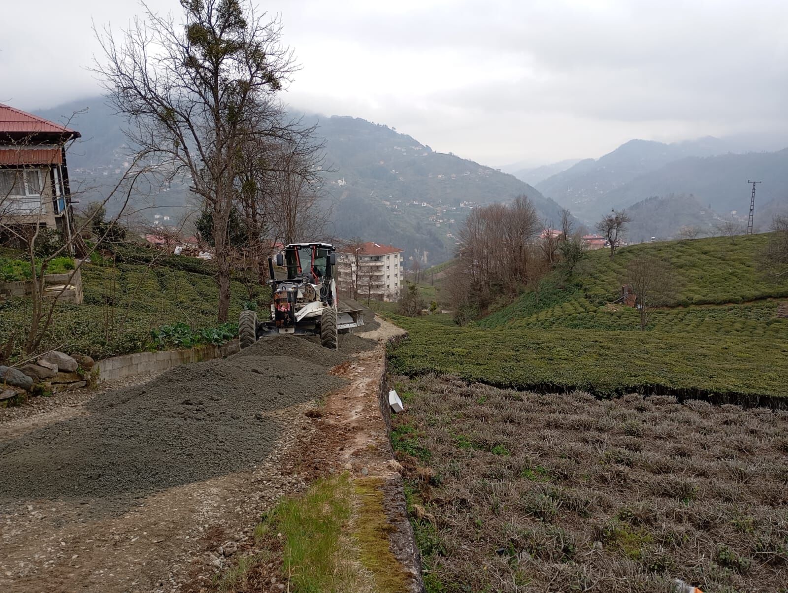 Whatsapp Image 2026 03 25 At 13.31.16