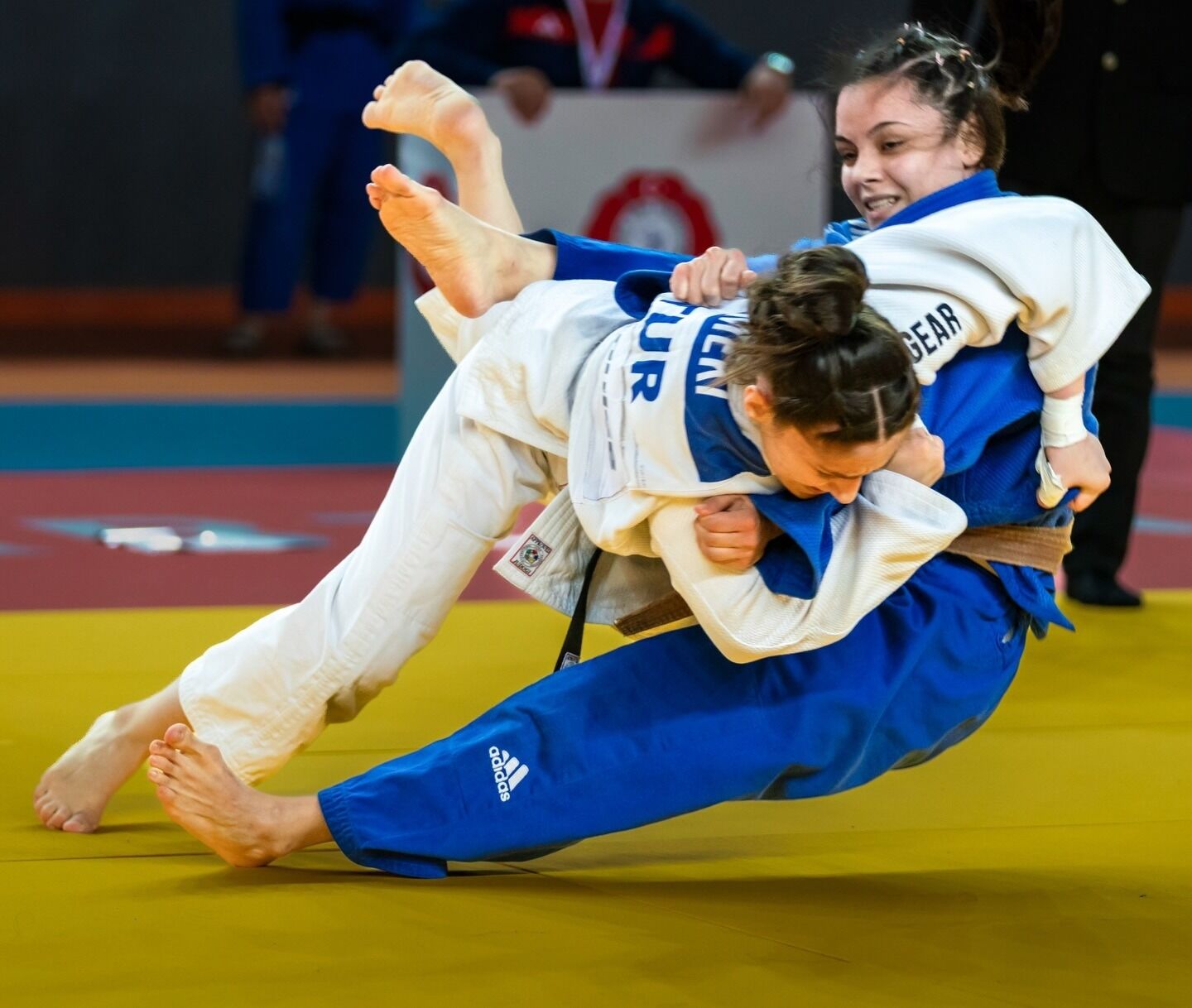 Whatsapp Image 2026 03 30 At 11.07.07