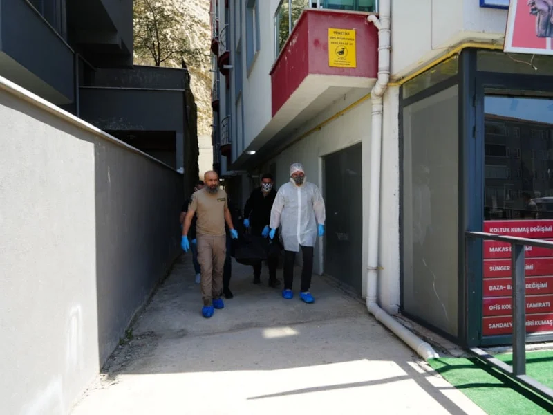 69De0B75443Dc655 W1200Xh900.Jpg