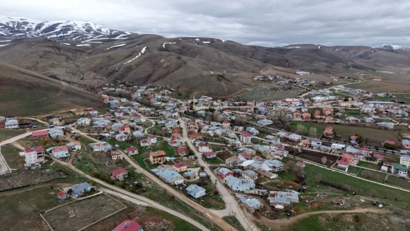 69Ec699Ad2Fd3496 W1200Xh675.Jpg