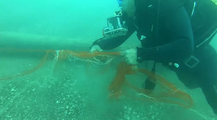 69Edbd7E6B59E5Ac4Ad8Aac7