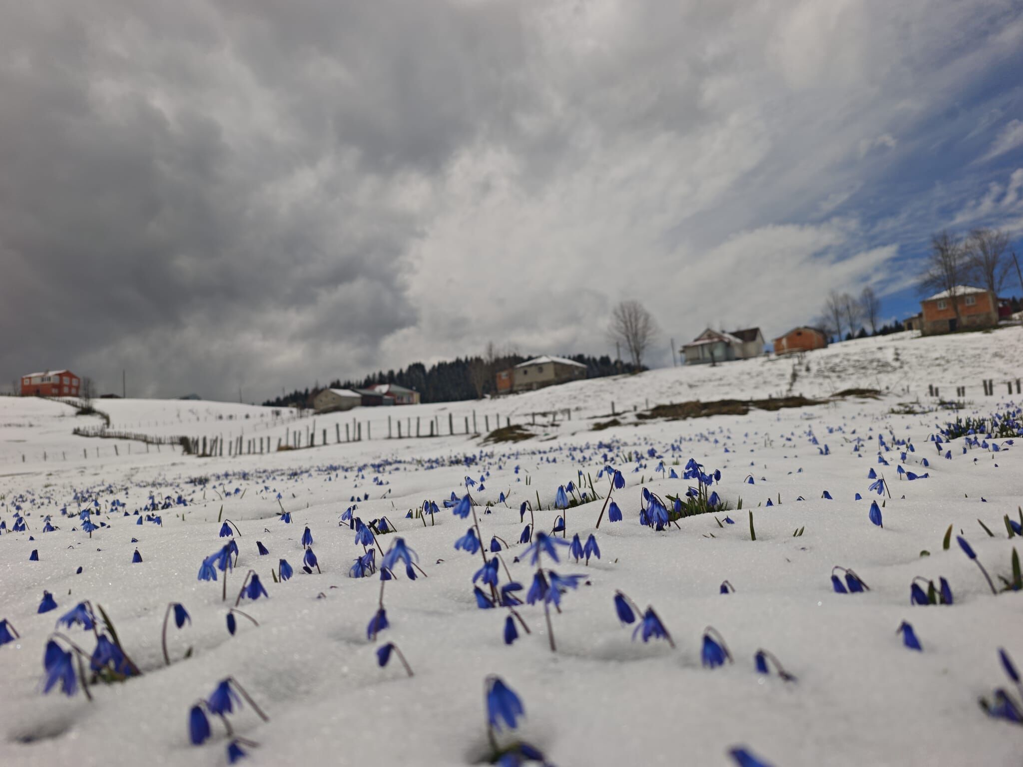 A A 20260409 41061675 41061673 T R A B Z O N V E C E V R E I L L E R I N Z I R V E L E R I B E Y A Z A B U R U N D U