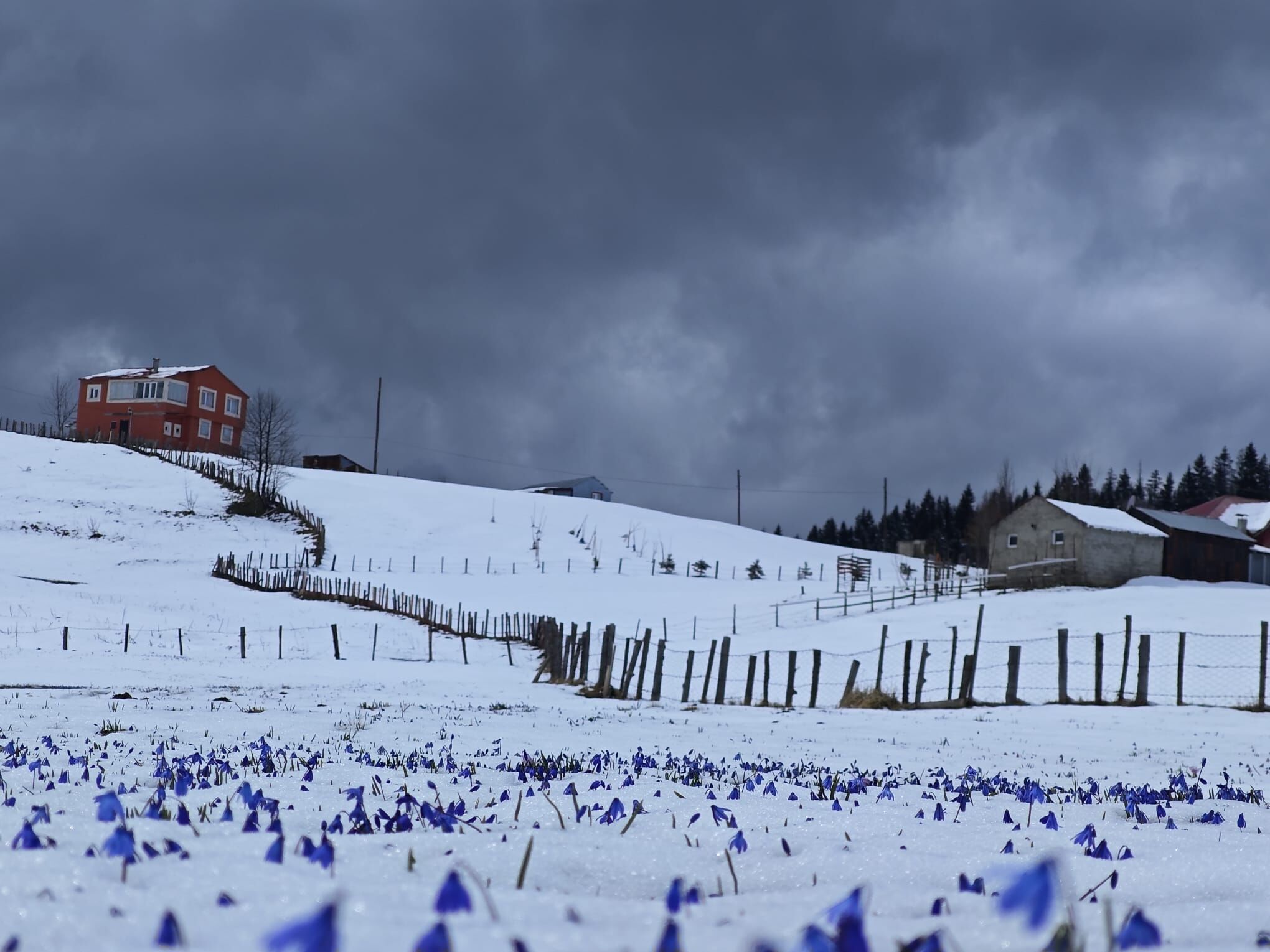 A A 20260409 41061675 41061674 T R A B Z O N V E C E V R E I L L E R I N Z I R V E L E R I B E Y A Z A B U R U N D U