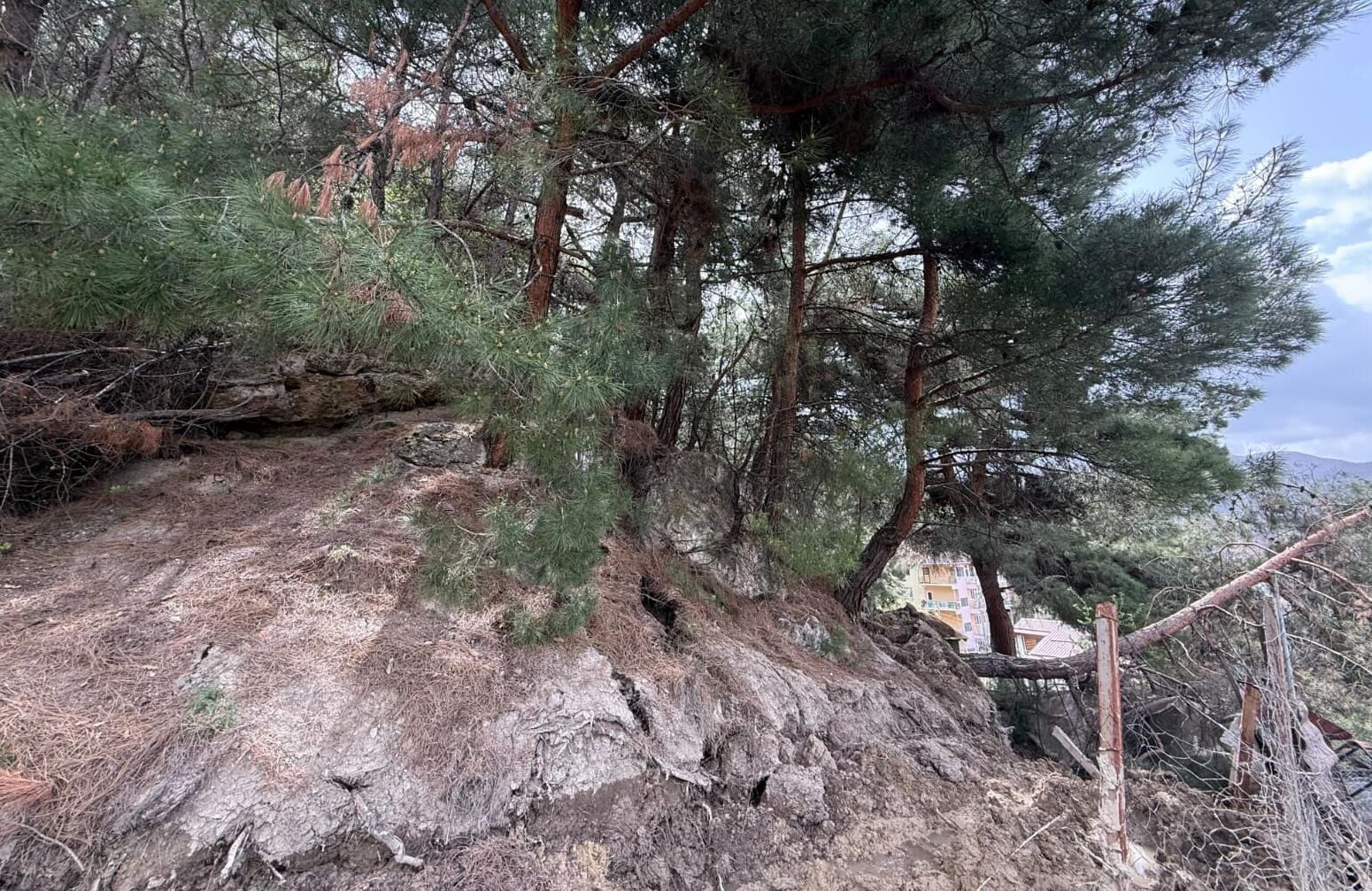 A A 20260421 41171163 41171161 T O K A T T A H E Y E L A N N E D E N I Y L E 7 B I N A B O S A L T I L D I