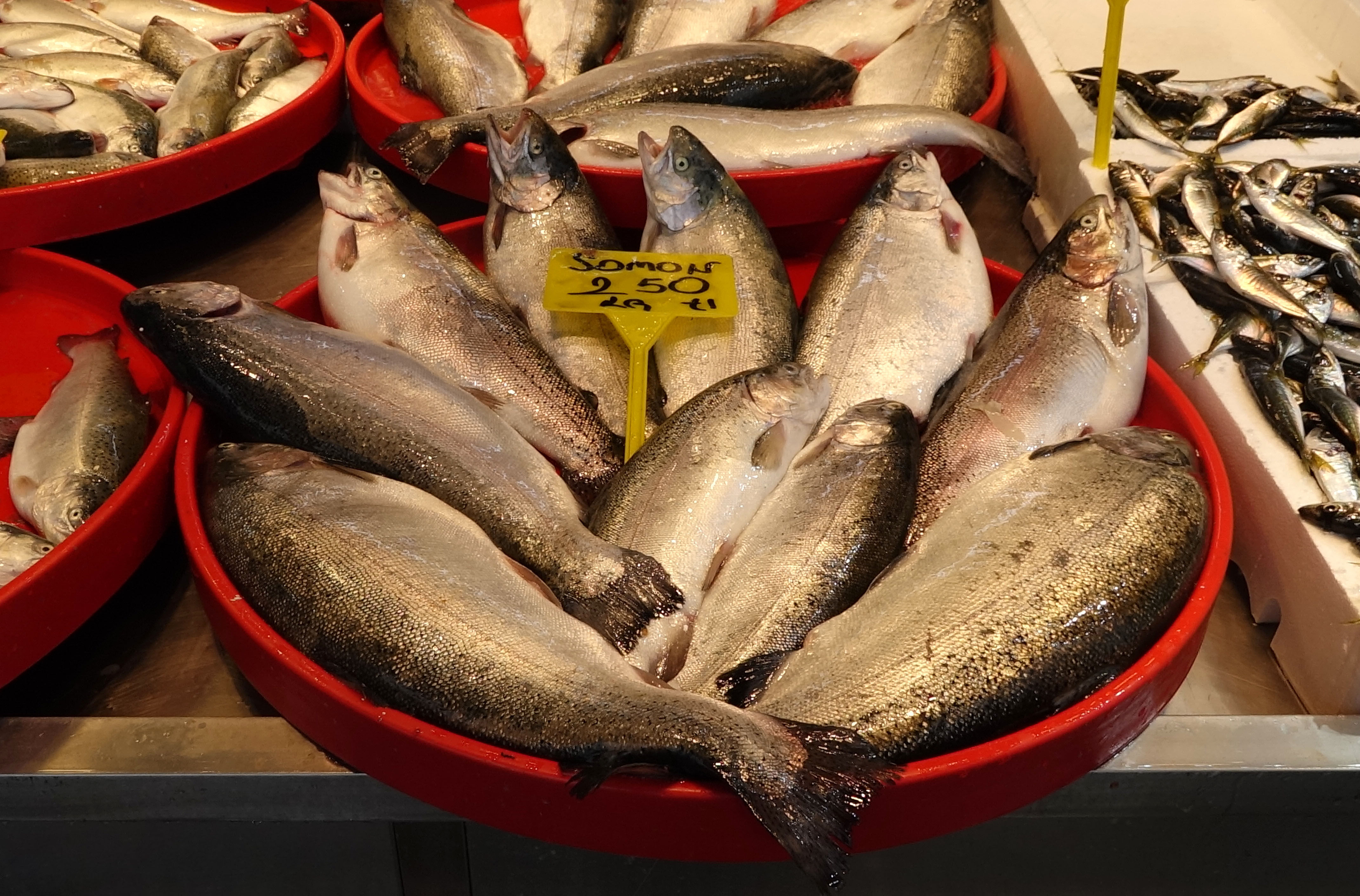 A V Y A S A G I N D A K U L T U R B A L I K L A R I N A R A G B E T 1282789 381664