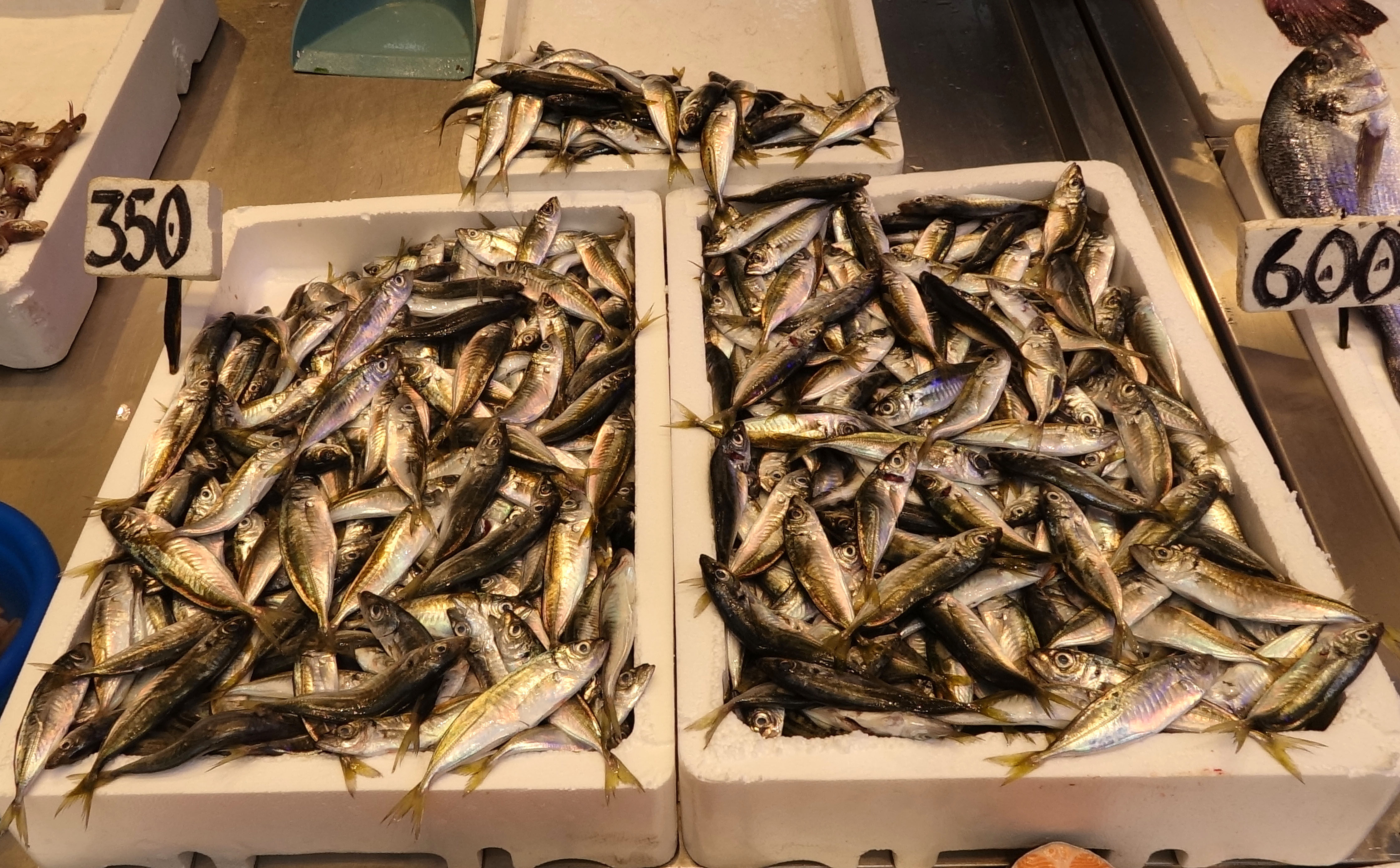 A V Y A S A G I N D A K U L T U R B A L I K L A R I N A R A G B E T 1282793 381664