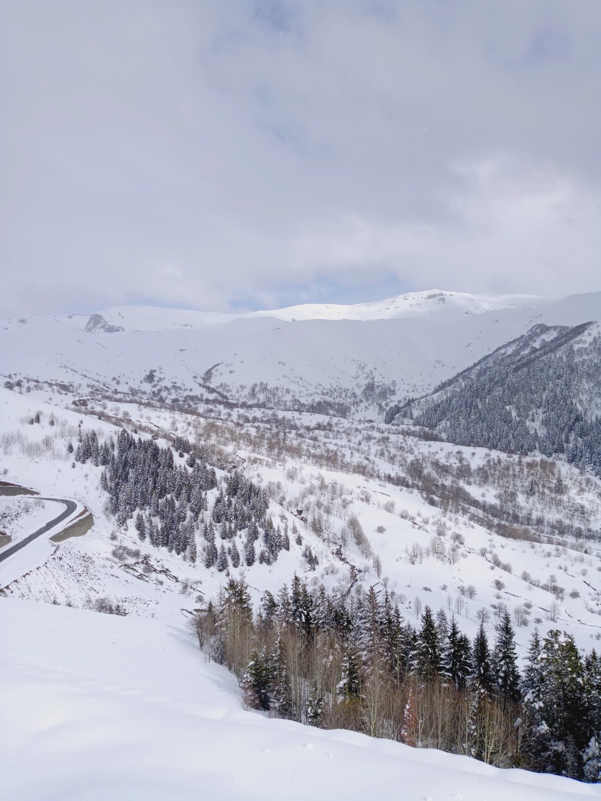 D O G U K A R A D E N I Z’ D E N I S A N A Y I N D A K A R Y A G D I 1254128 373221