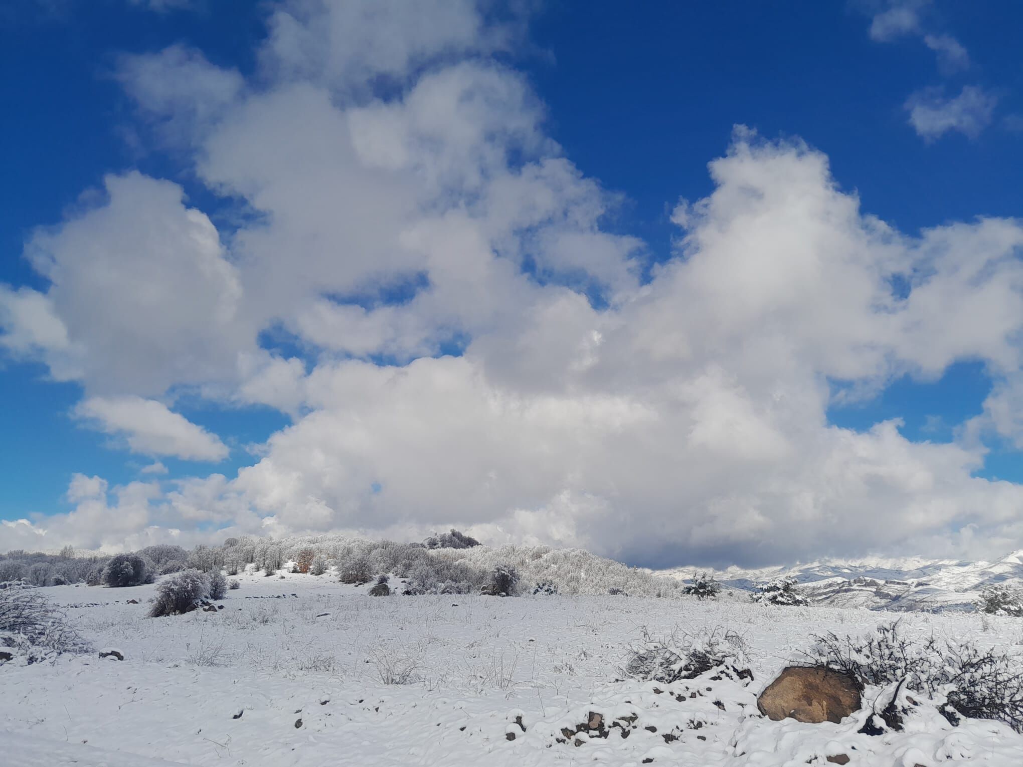 D O G U K A R A D E N I Z’ D E N I S A N A Y I N D A K A R Y A G D I 1254134 373221