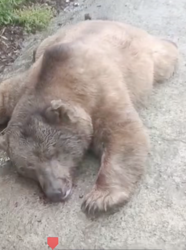 Ekran Resmi 2026 04 14 15.02.31