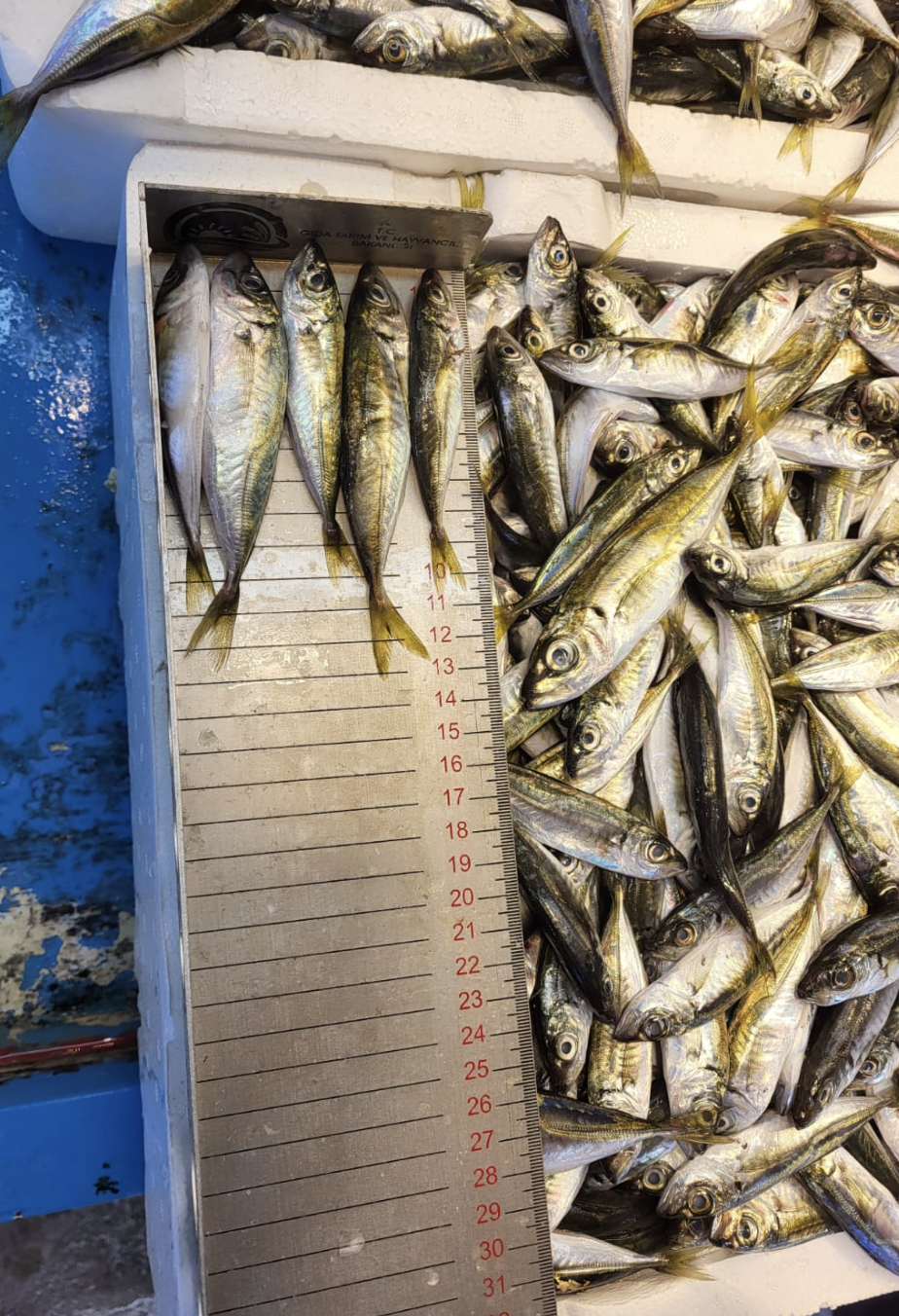 Ekran Resmi 2026 04 15 10.25.40