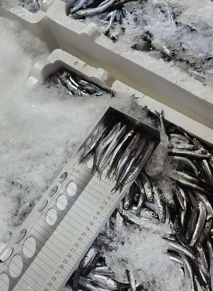 Ekran Resmi 2026 04 15 10.26.04