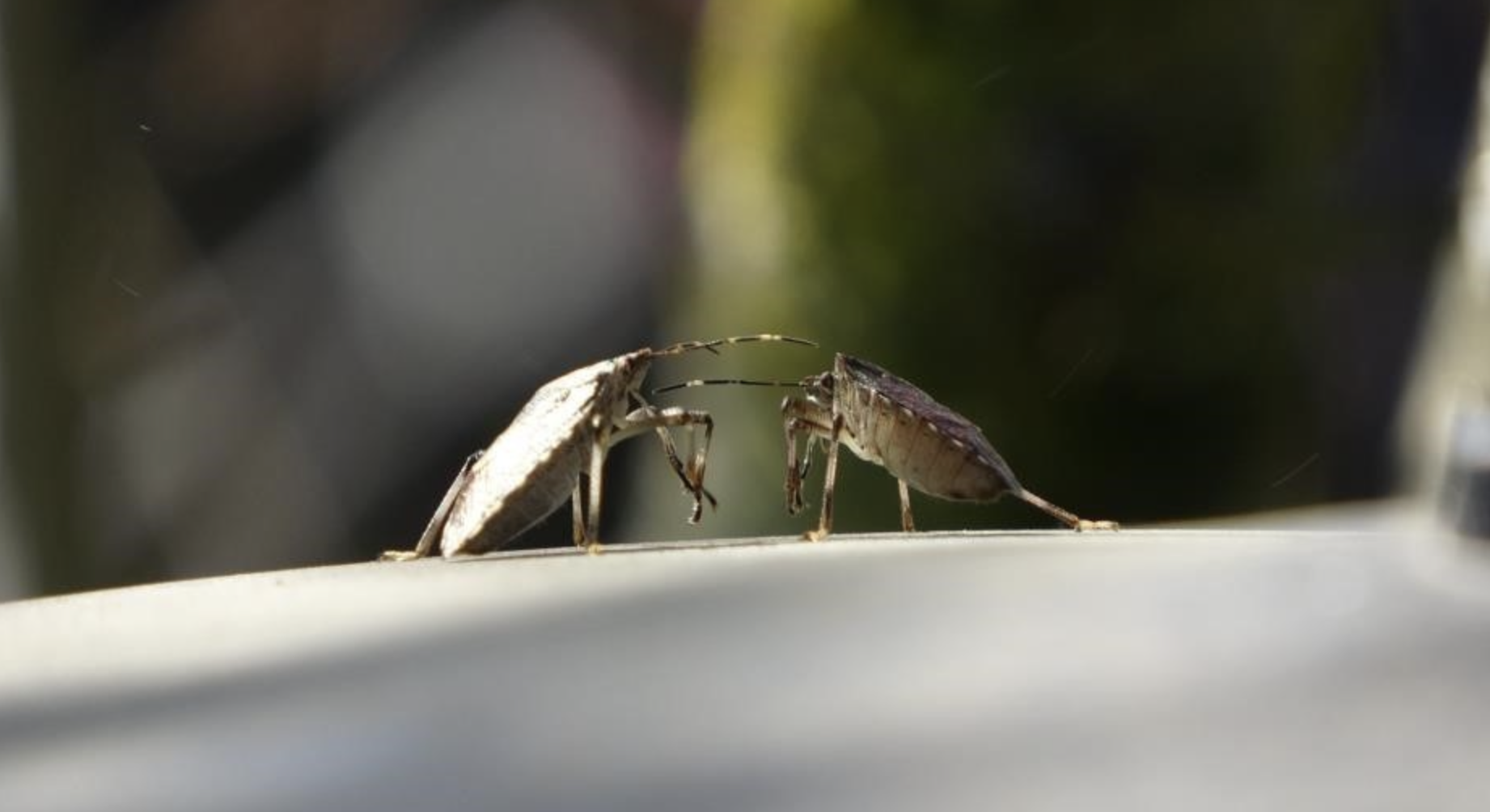 Ekran Resmi 2026 04 27 11.25.01