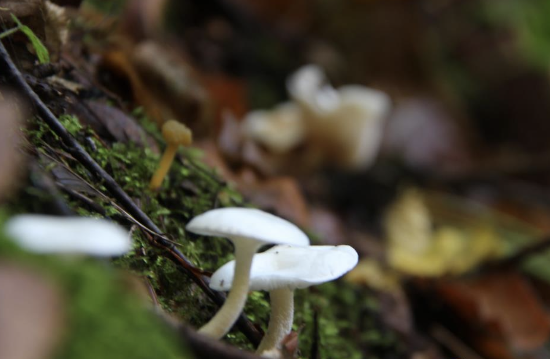 Ekran Resmi 2026 04 27 11.25.12