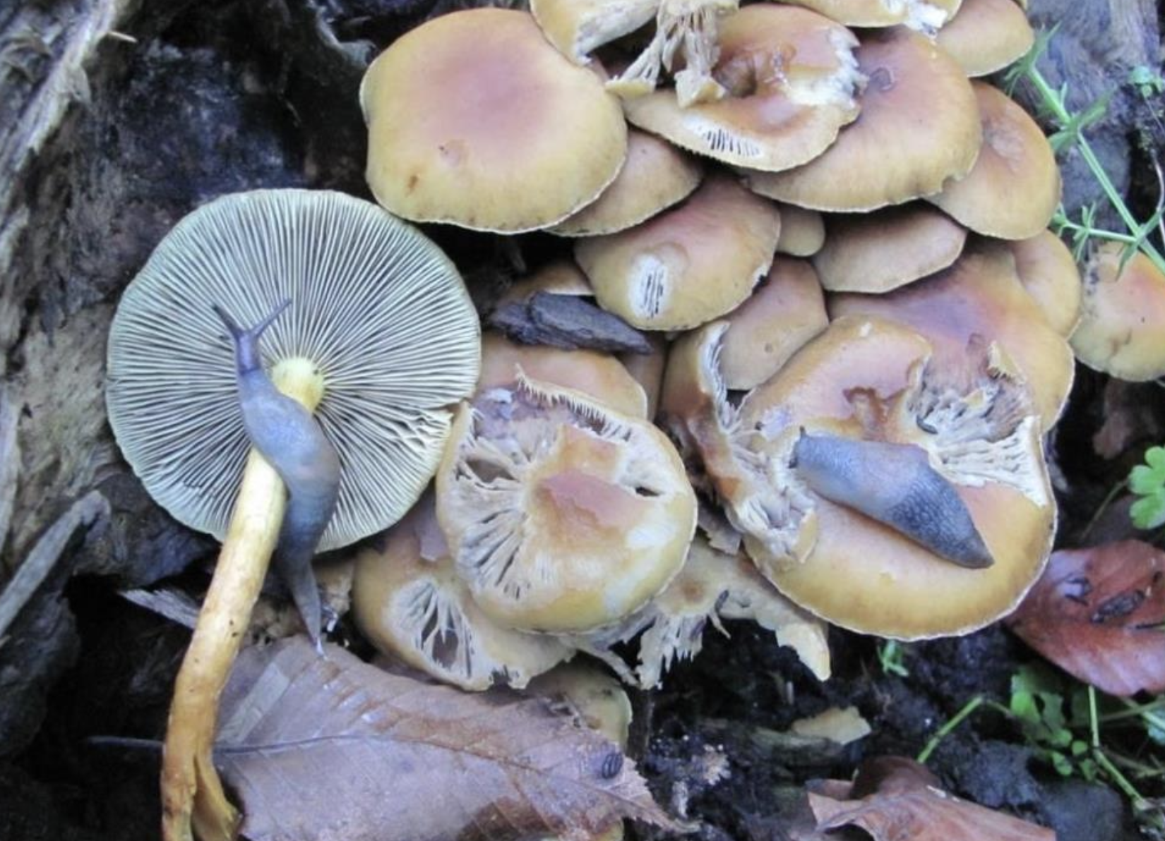 Ekran Resmi 2026 04 27 11.25.15