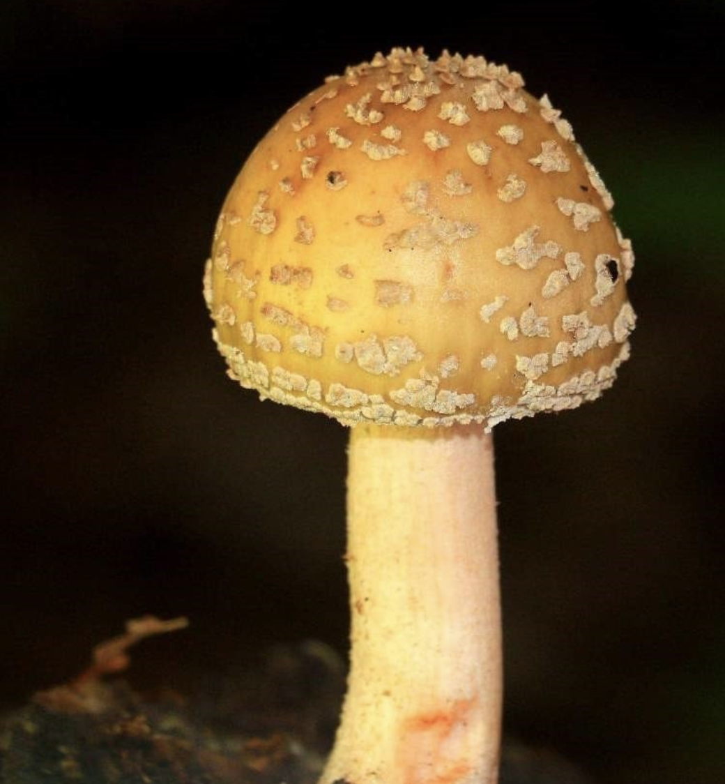 Ekran Resmi 2026 04 27 11.25.19