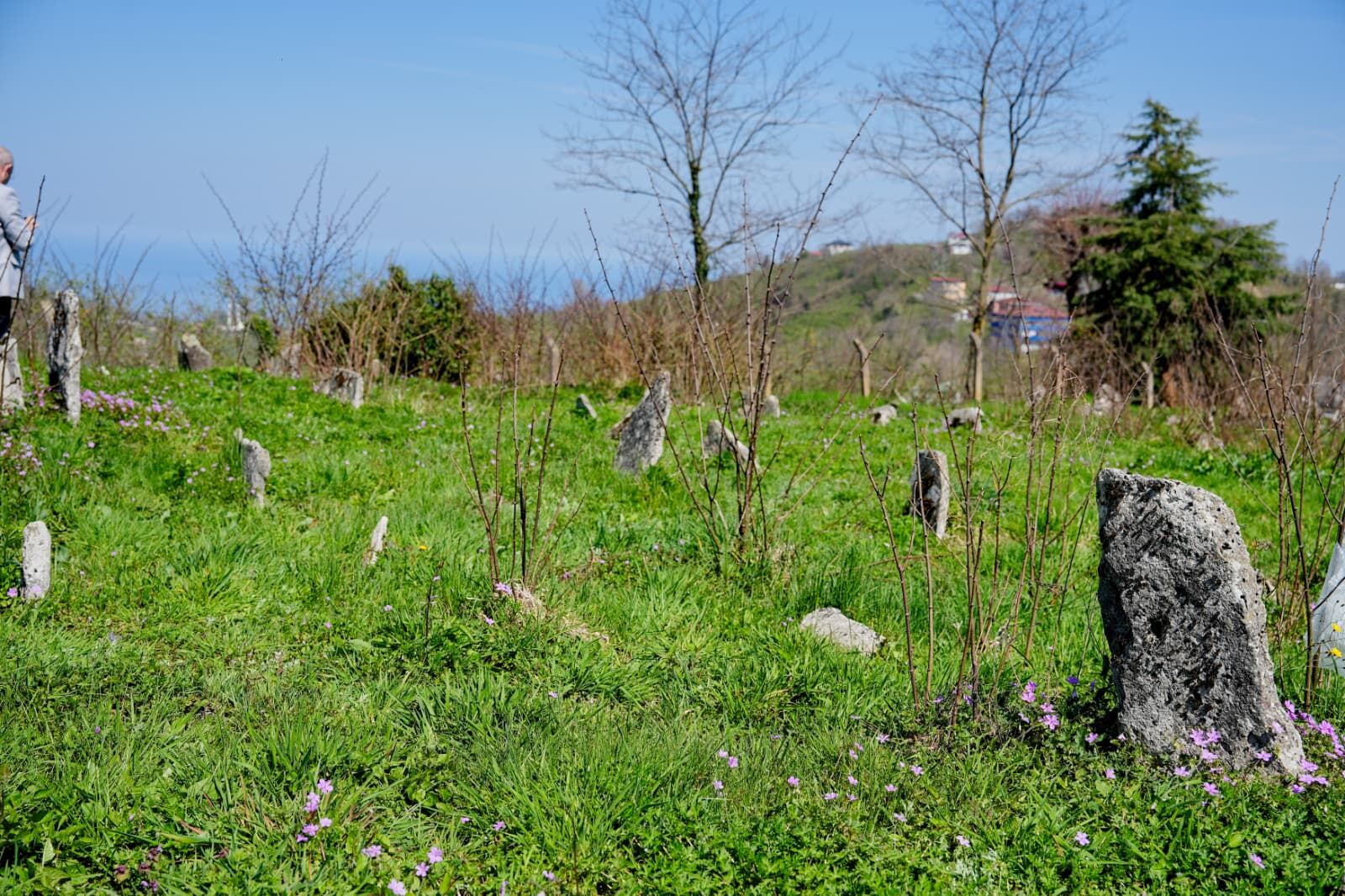 Whatsapp Image 2026 04 08 At 12.33.25 (2)