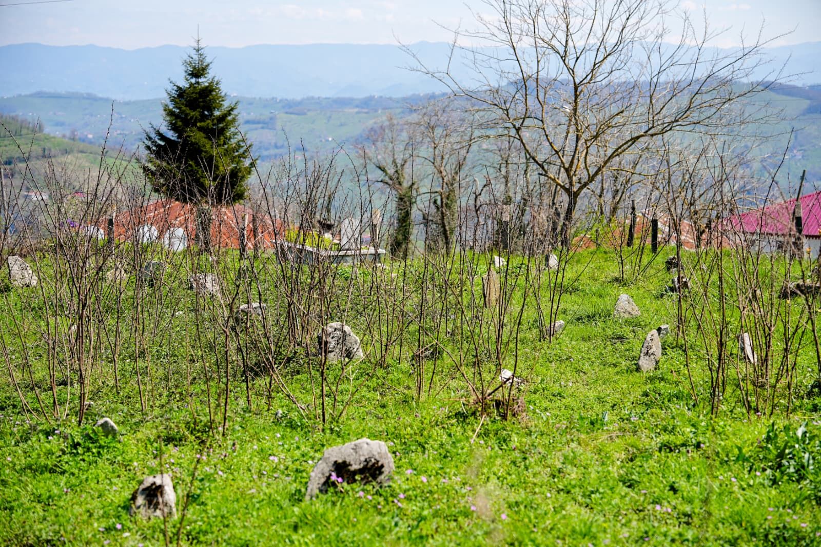 Whatsapp Image 2026 04 08 At 12.33.26