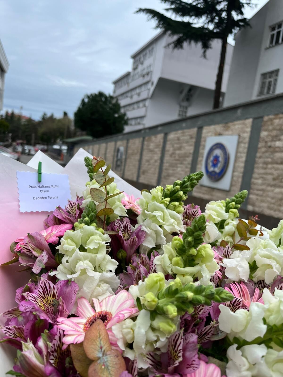 Whatsapp Image 2026 04 10 At 19.36.43 (1)