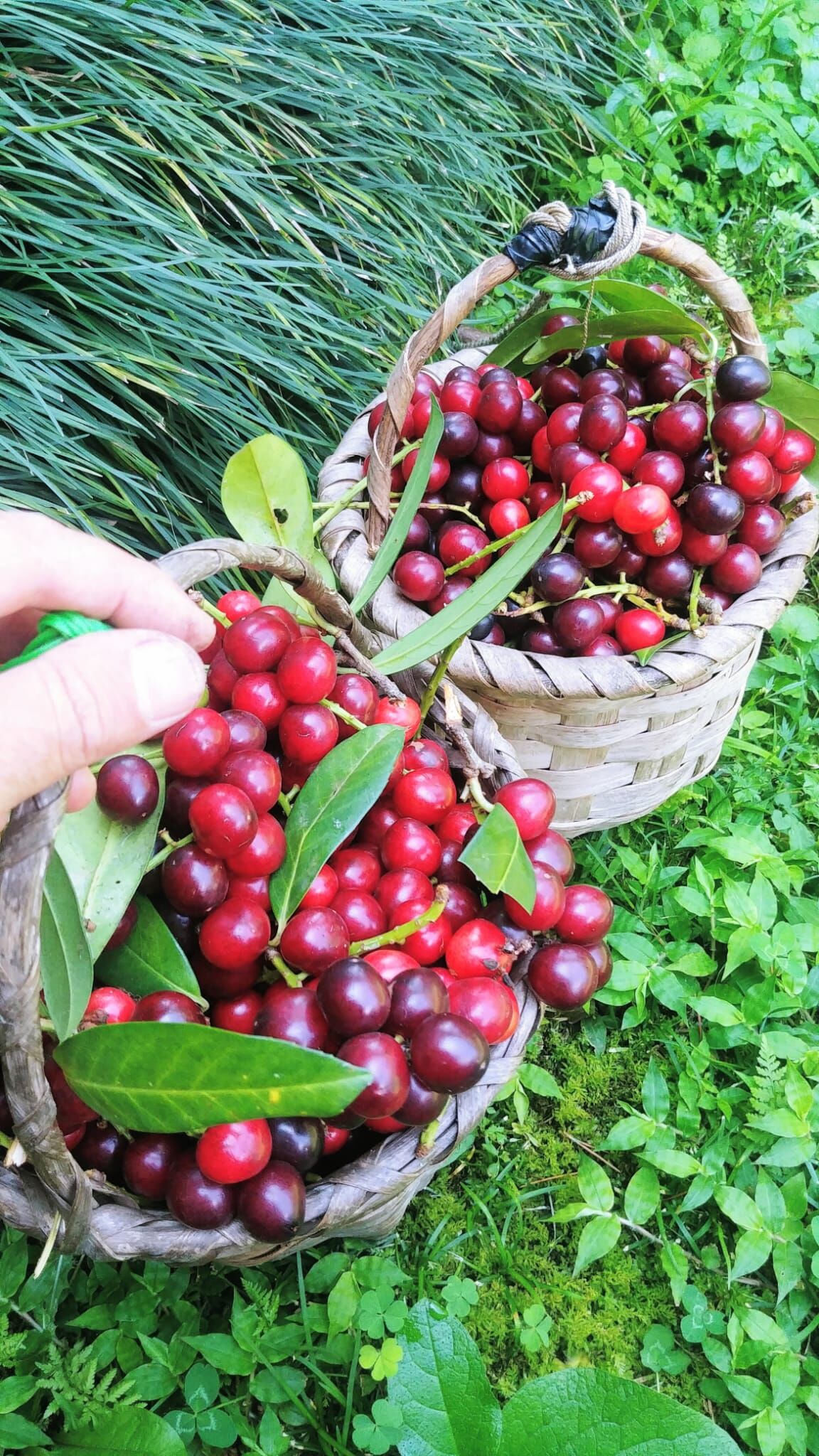 Whatsapp Image 2026 04 12 At 11.12.34 (3)