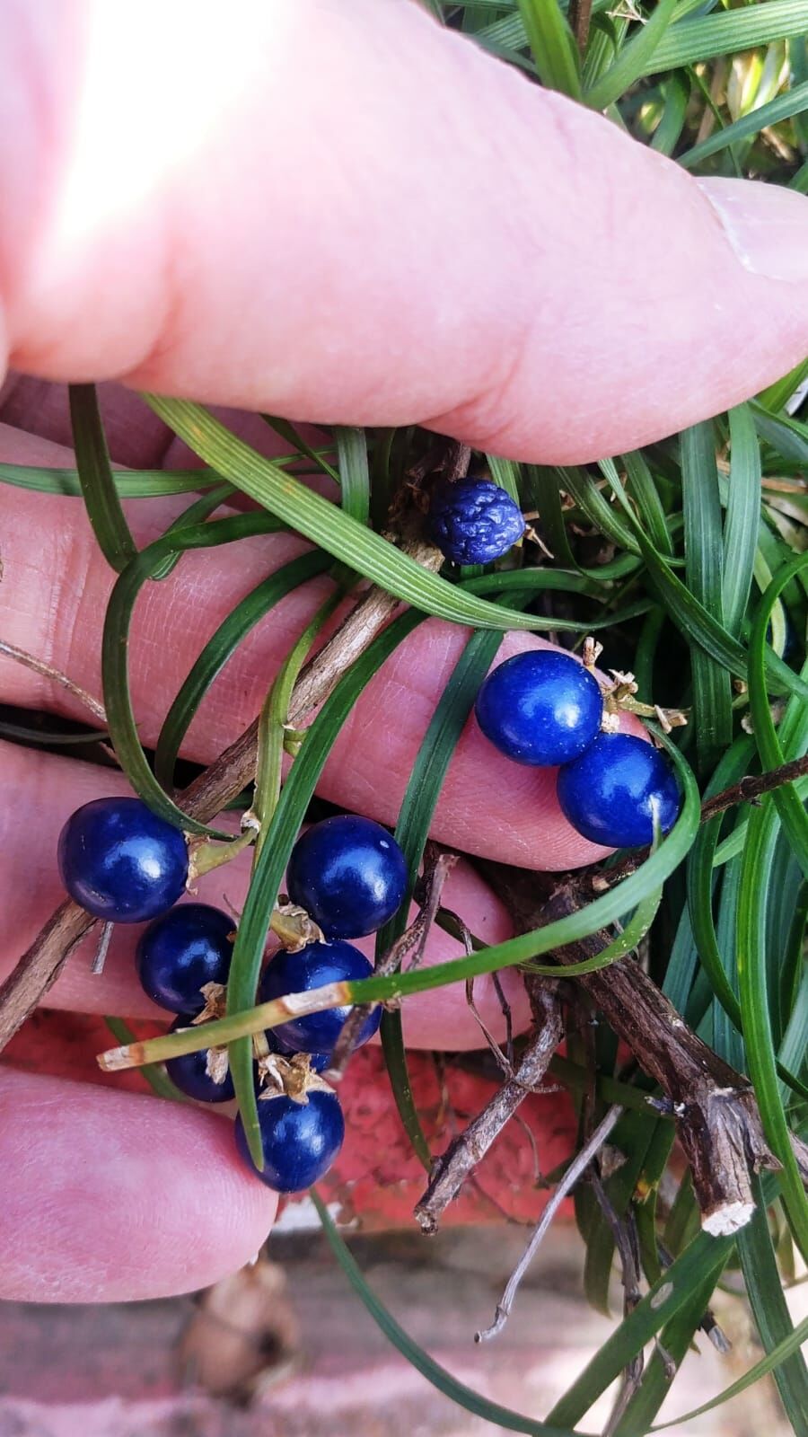 Whatsapp Image 2026 04 12 At 11.12.35 (2)