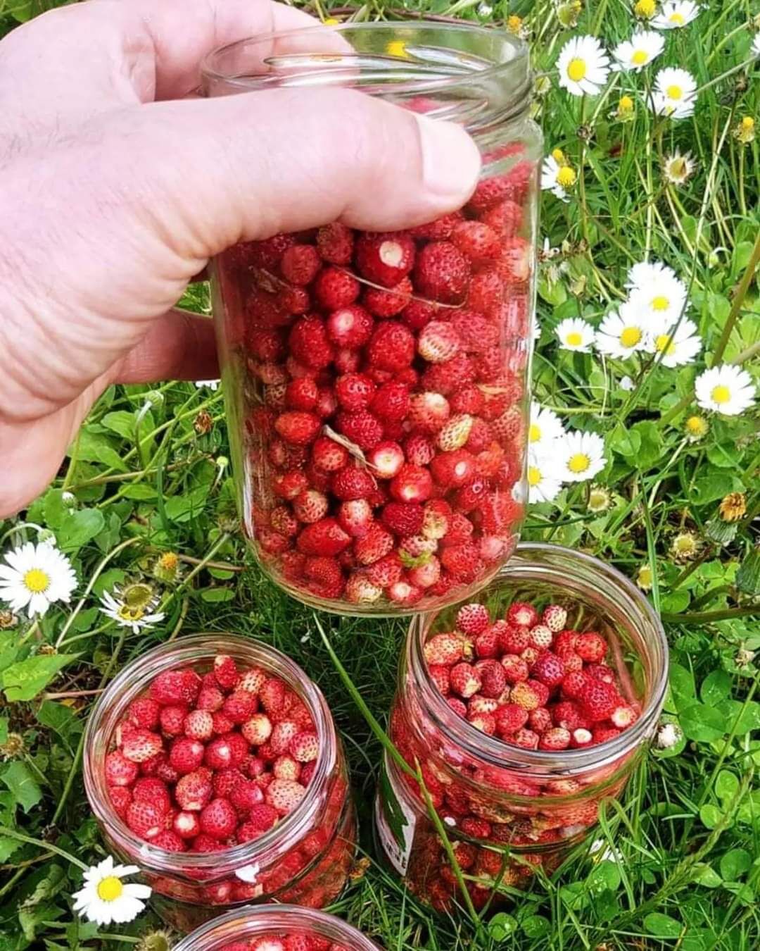 Whatsapp Image 2026 04 12 At 11.12.35